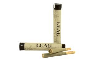 leal royal highness 1g